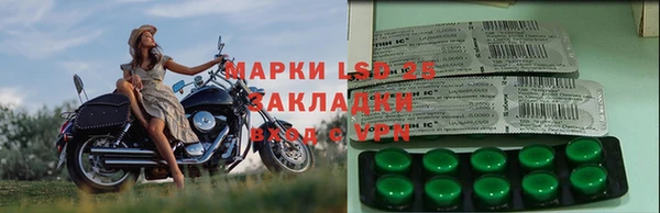 СК Аркадак